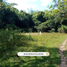  Land for sale in Palawan Mimaropa, Coron