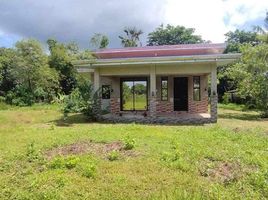 3 Bedroom Villa for sale in Pangasinan, Ilocos, Anda, Pangasinan