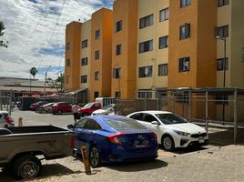 Appartement 2 chambre à vendre à Guadalajara, Jalisco, Guadalajara, Jalisco