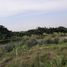  Land for sale in Calamba City, Calabarzon, Calamba City