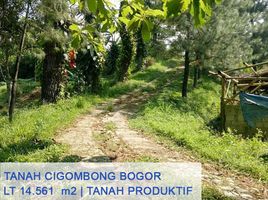  Land for sale in Cijeruk, Bogor, Cijeruk