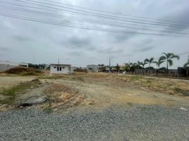  Land for sale in Daule, Guayas, Daule, Daule