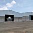  Land for rent in Tarimbaro, Michoacan, Tarimbaro