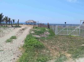  Land for sale in Jipijapa, Manabi, Puerto De Cayo, Jipijapa