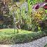  Land for sale in Ubud, Gianyar, Ubud