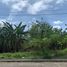  Land for sale in Southern District, Metro Manila, Muntinlupa City, Southern District
