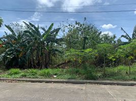  Land for sale in Southern District, Metro Manila, Muntinlupa City, Southern District