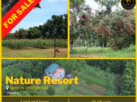  Land for sale in Bago City, Negros Occidental, Bago City