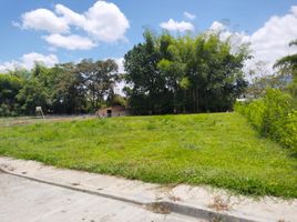  Terreno (Parcela) en venta en Pijao, Quindio, Pijao