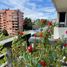2 Habitación Apartamento en alquiler en Nueva Imperial, Cautín, Nueva Imperial