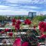 2 Habitación Apartamento en alquiler en Nueva Imperial, Cautín, Nueva Imperial
