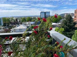 2 Habitación Apartamento en alquiler en Nueva Imperial, Cautín, Nueva Imperial
