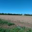  Land for sale in Capital, Cordoba, Capital