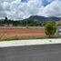  Land for sale in La Ceja, Antioquia, La Ceja