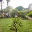 5 Bedroom House for sale in Paranaque City, Metro Manila, Paranaque City