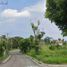  Terreno (Parcela) en venta en Talisay City, Central Visayas, Talisay City