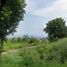  Terreno (Parcela) en venta en Talisay City, Central Visayas, Talisay City