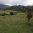  Land for sale in La Ceja, Antioquia, La Ceja