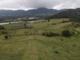  Terreno (Parcela) en venta en La Ceja, Antioquia, La Ceja