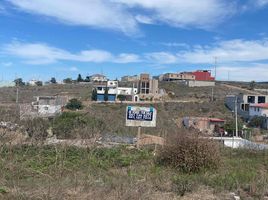  Grundstück zu verkaufen in Tijuana, Baja California, Tijuana, Baja California