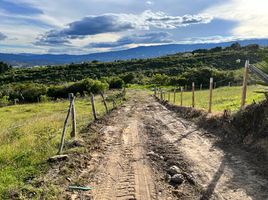  Terrain for sale in Villa De Leyva, Boyaca, Villa De Leyva