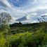  Terrain for sale in Boyaca, Villa De Leyva, Boyaca