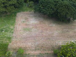  Terreno (Parcela) en venta en Santa Rosa City, Calabarzon, Santa Rosa City, Laguna