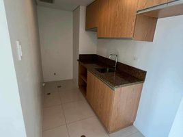 1 Bedroom Condo for rent in Manila International Airport LRT-1, Pasay City, Makati City