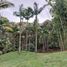 Villa à vendre à El Carmen De Viboral, Antioquia, El Carmen De Viboral