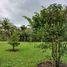 Villa à vendre à El Carmen De Viboral, Antioquia, El Carmen De Viboral