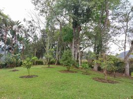 Villa à vendre à El Carmen De Viboral, Antioquia, El Carmen De Viboral
