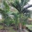 Villa à vendre à El Carmen De Viboral, Antioquia, El Carmen De Viboral