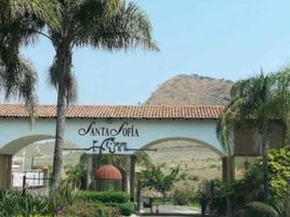  Land for sale in Amatitan, Jalisco, Amatitan
