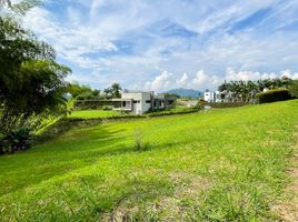  Land for sale in Pereira, Risaralda, Pereira