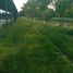  Land for sale in Surabaya East Jawa, Gubeng, Surabaya, East Jawa