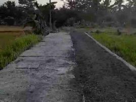  Land for sale in Gianyar, Bali, Ubud, Gianyar