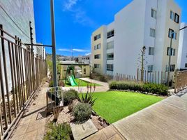 2 Habitación Apartamento en alquiler en Queretaro, Querétaro, Queretaro, Querétaro
