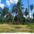  Terreno (Parcela) en venta en San Juan, Calabarzon, San Juan, Batangas, Calabarzon