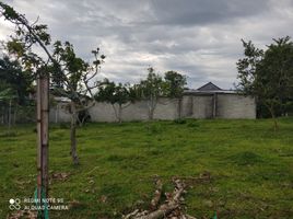  Land for sale in Palmira, Valle Del Cauca, Palmira