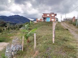  Terreno (Parcela) en venta en Tulua, Valle Del Cauca, Tulua