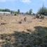  Land for sale in Cuautepec De Hinojosa, Hidalgo, Cuautepec De Hinojosa