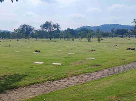  Land for sale in Guayas, Daule, Daule, Guayas