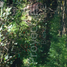  Land for sale in Alvaro Obregon, Mexico City, Alvaro Obregon, Mexico City