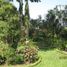  Grundstück zu verkaufen in Pereira, Risaralda, Pereira, Risaralda