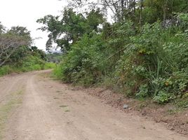  Land for sale in Esmeraldas, Esmeraldas, Esmeraldas, Esmeraldas, Esmeraldas