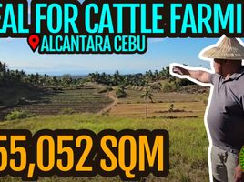  Land for sale in Alcantara, Cebu, Alcantara