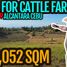  Land for sale in Cebu Central Visayas, Alcantara