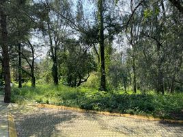  Terreno (Parcela) en venta en Tlalpan, Ciudad de México, Tlalpan