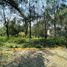  Terreno (Parcela) en venta en Tlalpan, Ciudad de México, Tlalpan