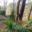  Land for sale in Cordillera, Baguio City, Benguet, Cordillera